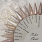 Preview: Farbpalette Auftrag - Herbst Nude Farben