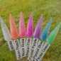 Preview: Confetti Gele bunt - Sommer Farben