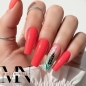 Preview: Rot Pinke Nägel - Nageldesign Natur Schilf - Blumen