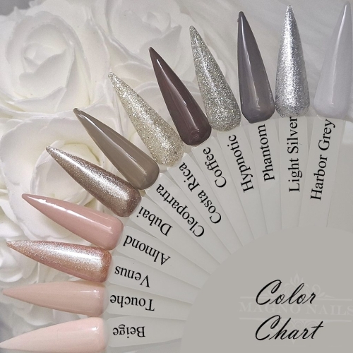 Preview: Hell Beige Nude Grau Silber Braun Farbpalette Farbkarte Nägel Design Nageltips