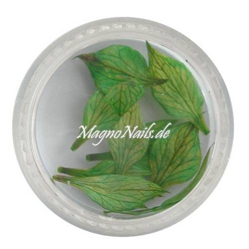 TB2 - Einlegemotive -Echte Trocken Blumen - grün Nails Nailart Nögel