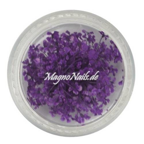 TB4 - Einlegemotive - Echte Trocken Blumen - lila Nails Nailart Nögel