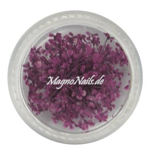 TB4 - Einlegemotive - Echte Trocken Blumen - aubergine Nails Nailart Nögel