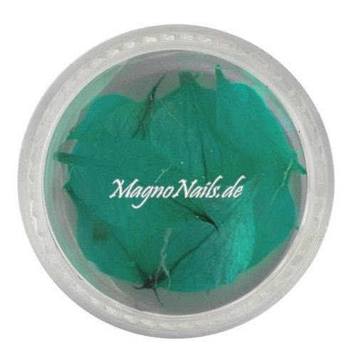 TB2 - Einlegemotive - Echte Trocken Blumen - türkis Nageldesign Nägel Nails Nagelstudio Einleger Nailart getrocknet