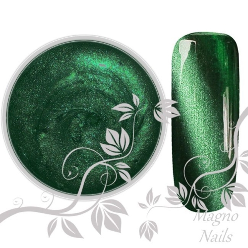 UV Gel - 021 - Cat Eye Gel Amazon Katzenauge Magnet Gel Nageldesign Nägel Nails Nagelstudio