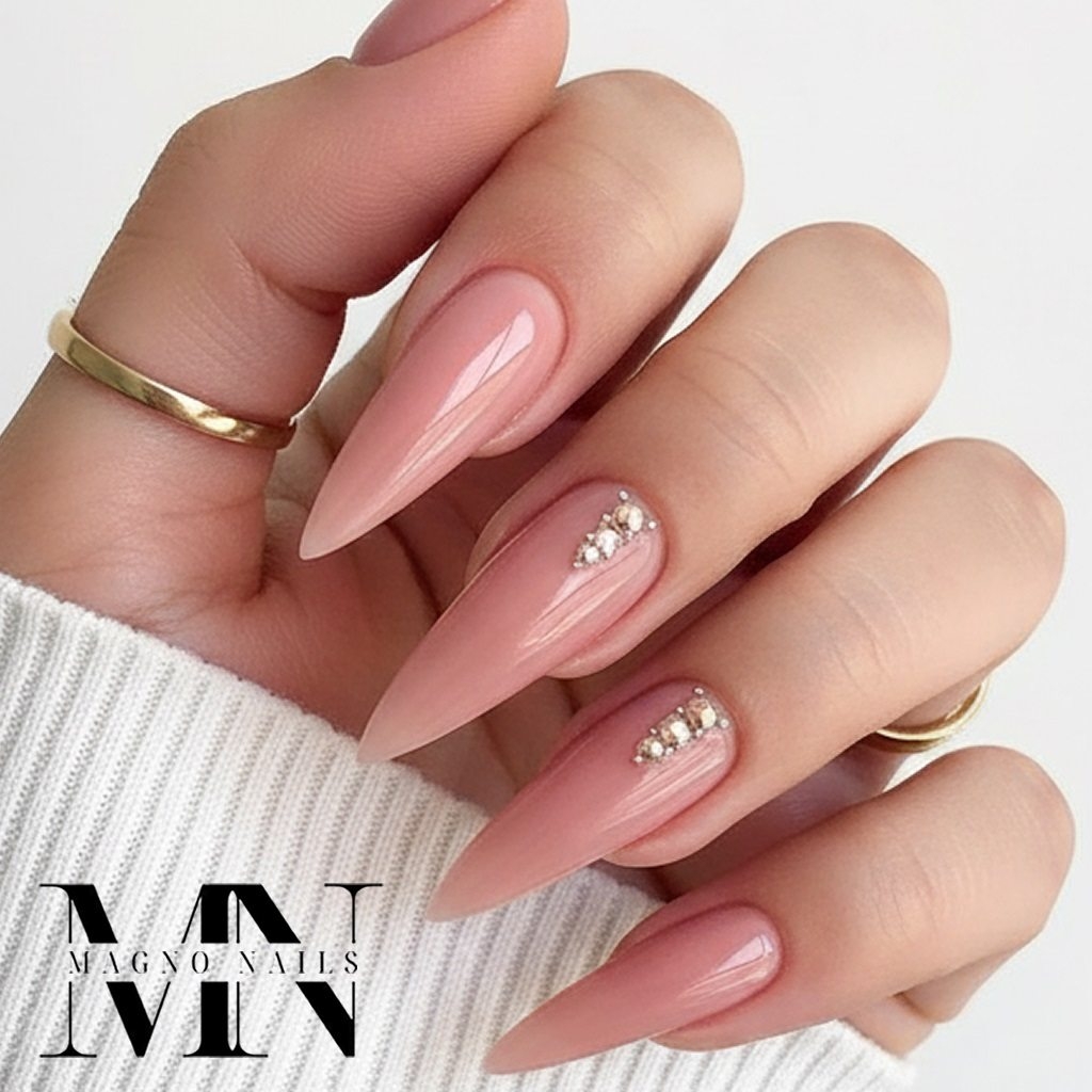 Stiletto Nägel - Rouge Rosa Nude Nägel ganz schlcht
