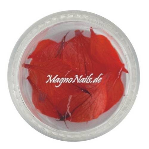 TB2 - Einlegemotive - Echte Trocken Blumen - rot Nails Nailart Nögel