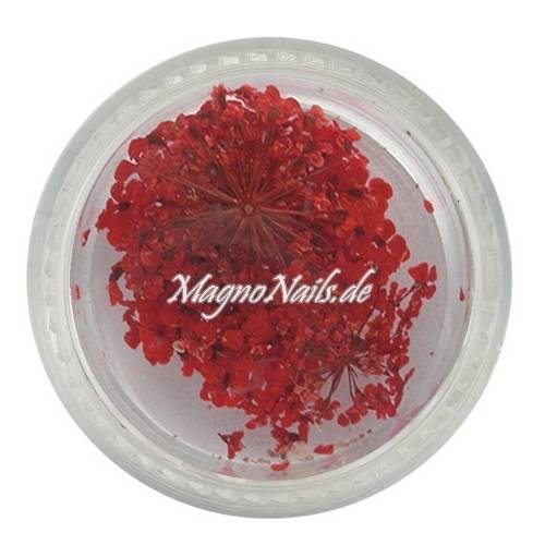 TB4 - Einlegemotive - Echte Trocken Blumen - rot Nails Nailart Nögel