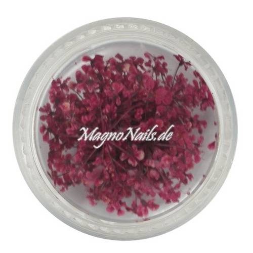 TB4 - Einlegemotive - Echte Trocken Blumen - weinrot Nails Nailart Nögel